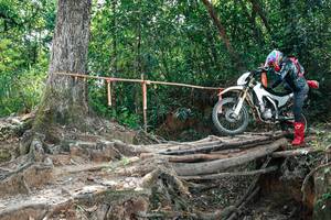 BIB: 
                            <button type="button" onclick="openModal(27804470)" class="btn btn-primary btn-sm float-right btn-popup" data-toggle="modal" data-target=".modal-high-quality">
                        <i class="fas fa-shopping-cart"></i> Add to Cart
                    </button>
                                            <button type="button" onclick="isThisMe(27804470, true)" class="btn btn-success btn-sm float-right btn-popup btn-isme hidden" data-toggle="tooltip" data-placement="bottom" title="นี่คือรูปของคุณใช่ไหม คลิกที่นี่เพื่อเอาเข้าอัลบั้ม">
                        <i class="fas fa-plus"></i> Add to album
                    </button>
                    <button type="button" onclick="isThisMe(27804470, false)" class="btn btn-warning btn-sm float-right btn-popup btn-isnotme hidden">
                        <i class="fas fa-ban"></i> Remove from album
                    </button>